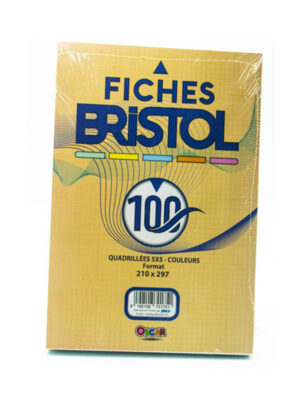 Fiches Bristol PM 5x5 Couleur - Pour une rentrée organisée avec style!