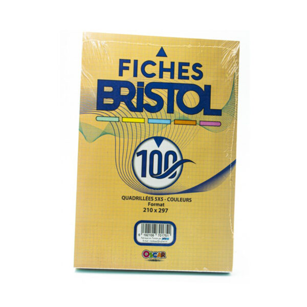 Fiches Bristol PM 5x5 Couleur - Pour une rentrée organisée avec style!