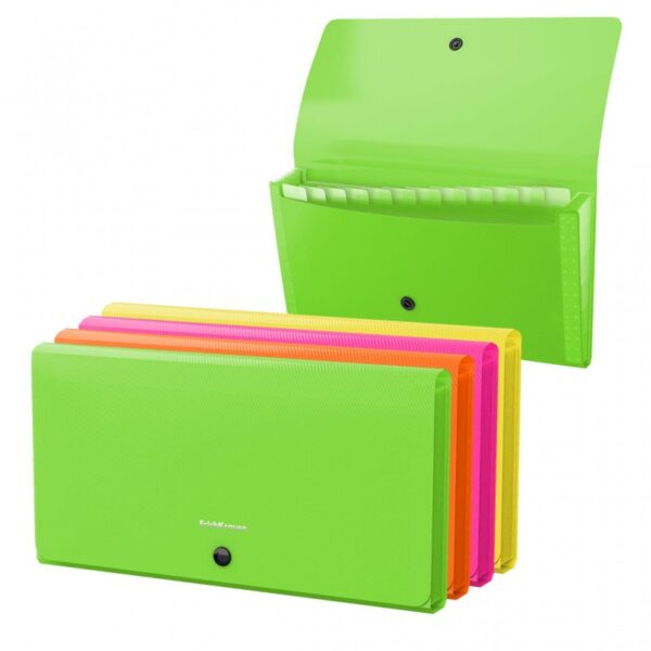 Trieur Extensible à Élastique avec 13 Compartiments Transparentes pour Documents A4 - Pratique pour le Classement et l'Organisation - Couverture PP de 0,75 mm - Couleurs Assorties