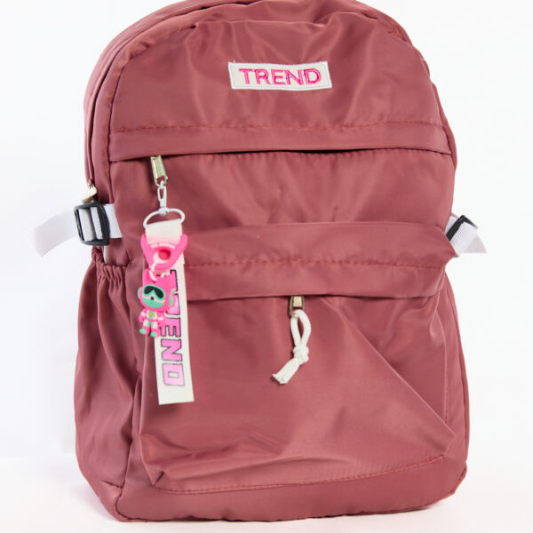 Sac à Dos Scolaire pour Collège et Lycée Pour Fille Et Garçon Disponible En Saumon et Gris