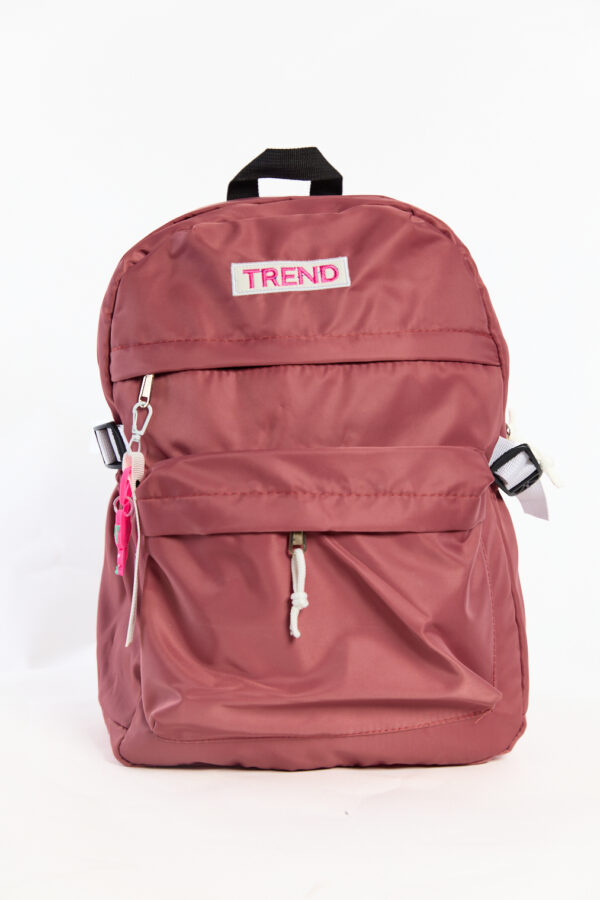 Sac à Dos Scolaire pour Collège et Lycée Pour Fille Et Garçon Disponible En Saumon et Gris