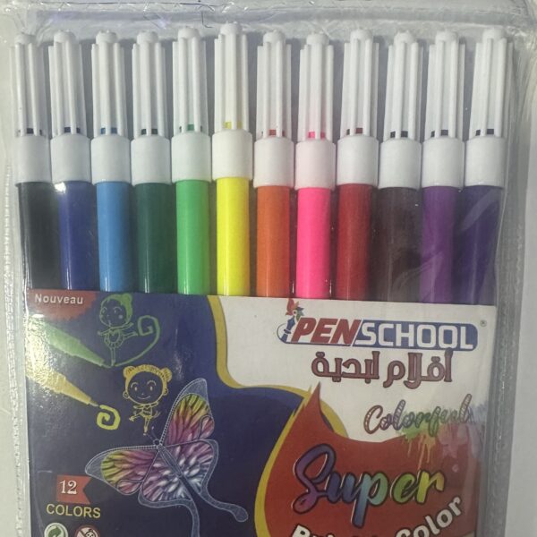 Feutre de 12 PENSCHOOL