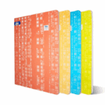 Cahier 10/10 96 PAGES SEYES 21*29.7 cm